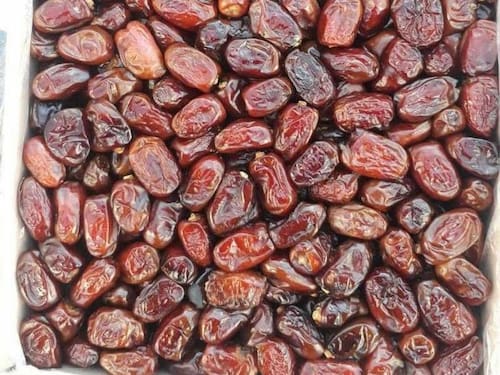 تصویر 5 از قیمت خرمای شاهانی با کیفیت ارزان + خرید عمده